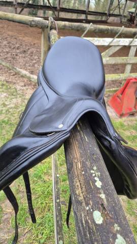 Selle Antares dressage