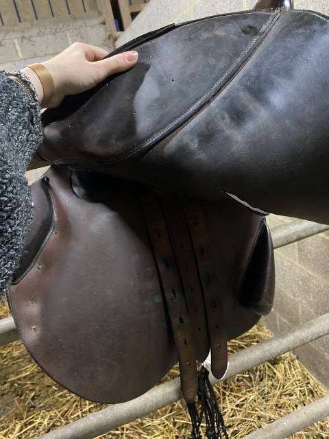 Selle Bruno delgrange 