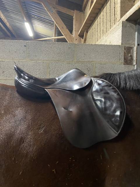 Selle Bruno delgrange 