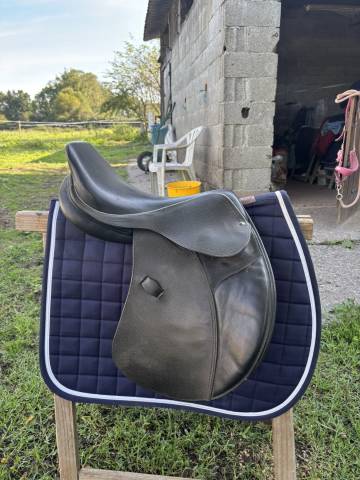 Selle mixte 