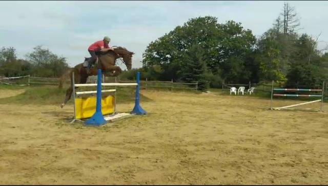 Pension chevaux - écurie du lys - belhomert guéhouville