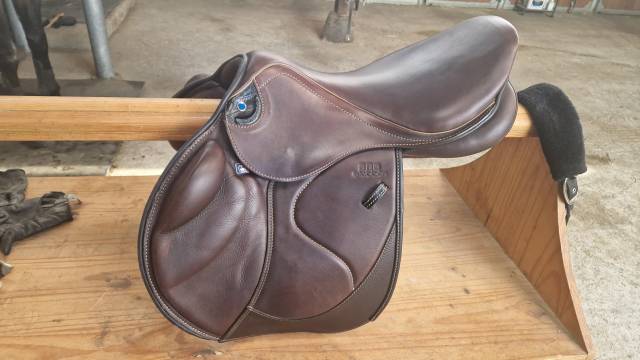 Selle mixte stubben 2024