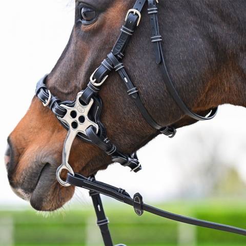 Bridon Hackamore - Collection One Premium - Jump'In - Cuir italien