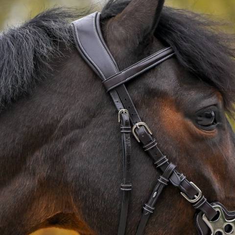 Bridon Hackamore - Collection One Premium - Jump'In - Cuir italien