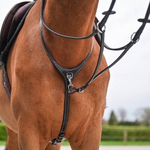 Collier et martingale amovible - Jump'In - Collection One Premium