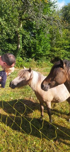 Pouliche oc poney b