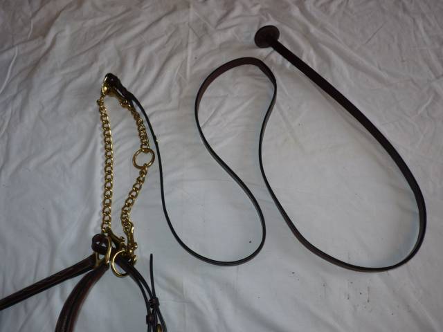 Licol et longe Dyon