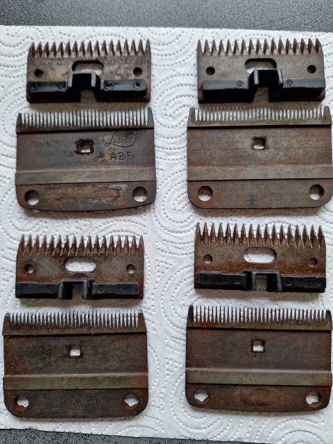 4 jeux de peignes A2 tondeuse Lister