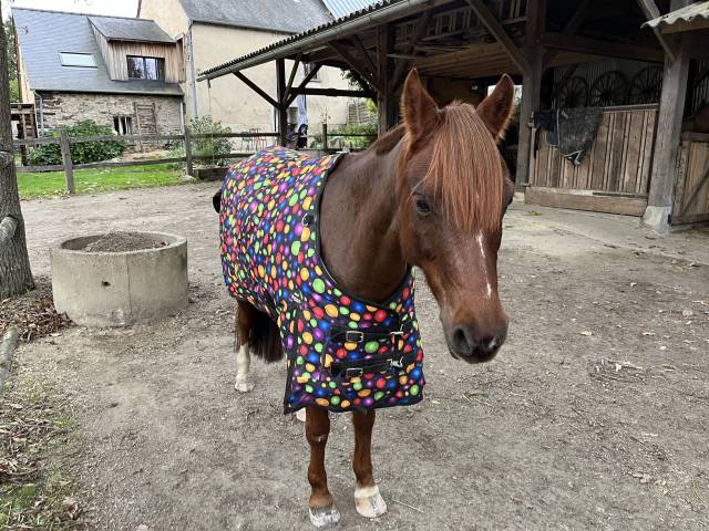 Couverture d’extérieur Performance 300g – Taille 115