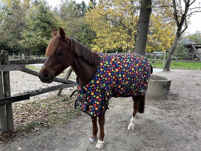 Couverture d’extérieur Performance 300g – Taille 115