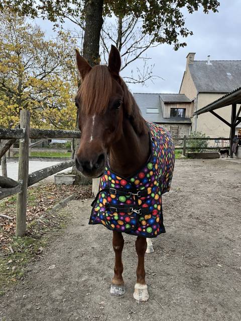 Couverture d’extérieur Performance 300g – Taille 115