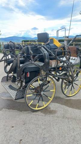 Marathon et harnais double 