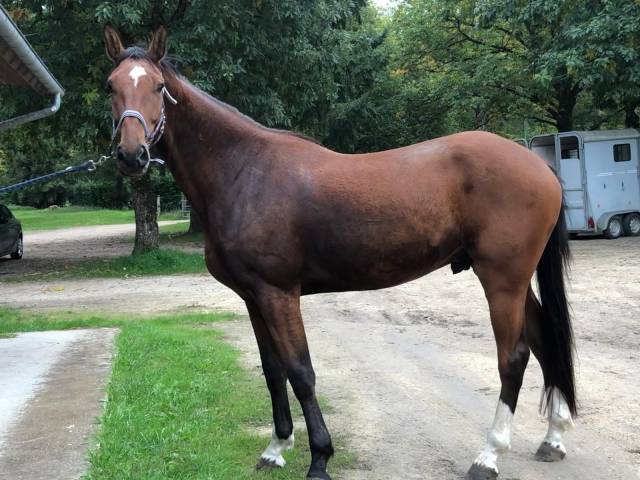 à vendre