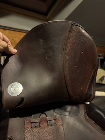 Selle CSO Meyer 17,5