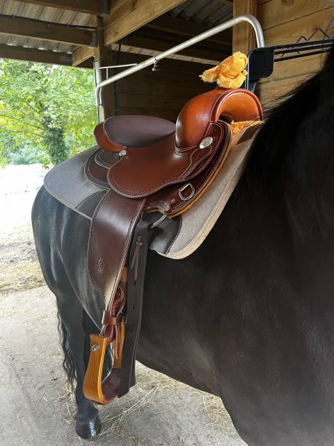 Selle Western West Coast neuve