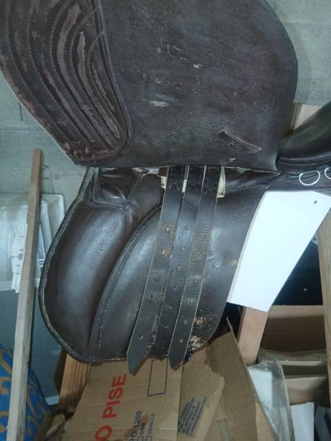 Selle appollo first 18 pouces couleur chocolat 