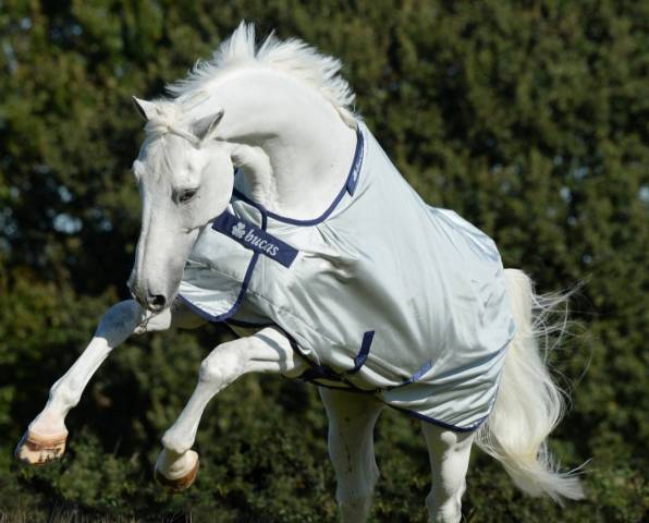 Couverture Bucas Power Turnout Light Bigneck