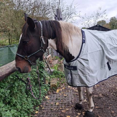 Couverture Bucas Power Turnout Light Bigneck