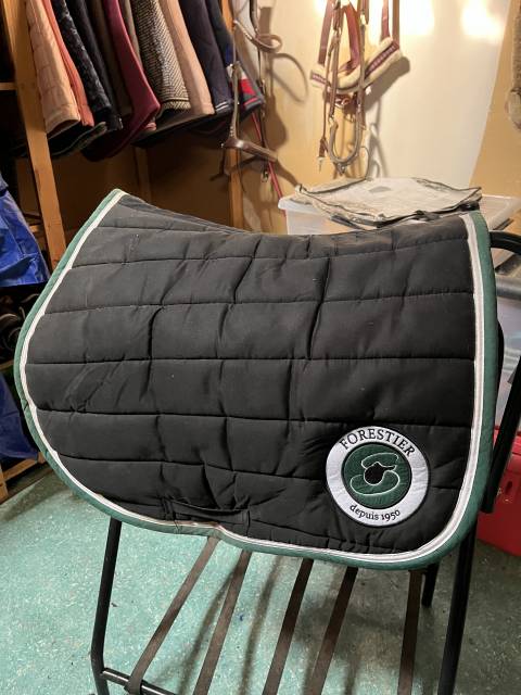 Tapis forestier 