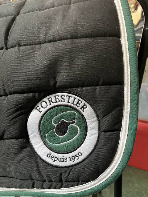Tapis forestier 