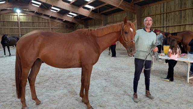 Hongre sport 4 ans amateur 1