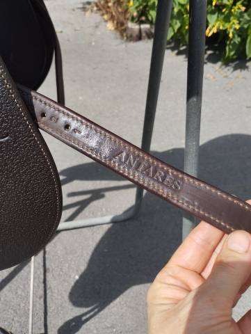 Selle Antares  taille 17,5, modèle spooner, quartiers 3A