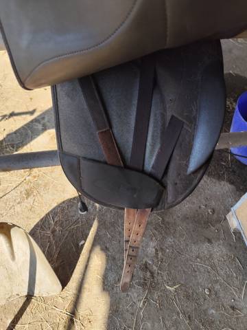 Selle de dressage isabel werth 17.5 pouces