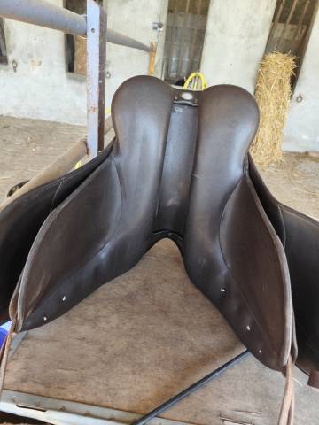 Selle de dressage isabel werth 17.5 pouces