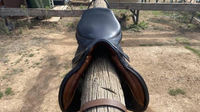Selle forestier  mixte 17,5 pouces,