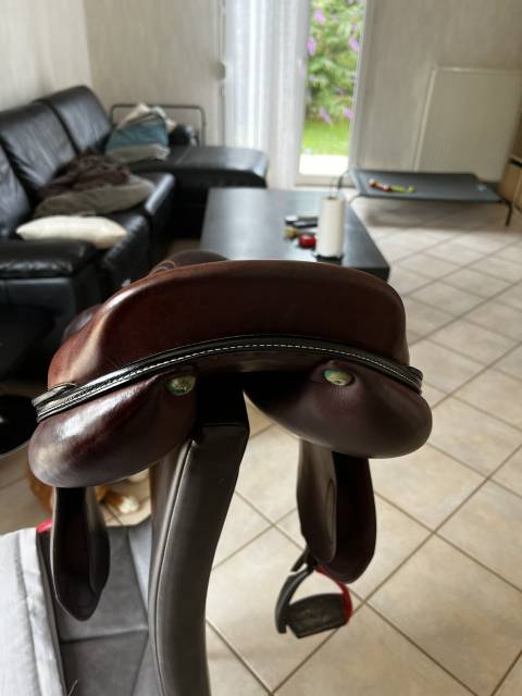 Selle Amerigo 17,5