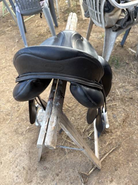 Prestige Italia X-DOGE, taille 18