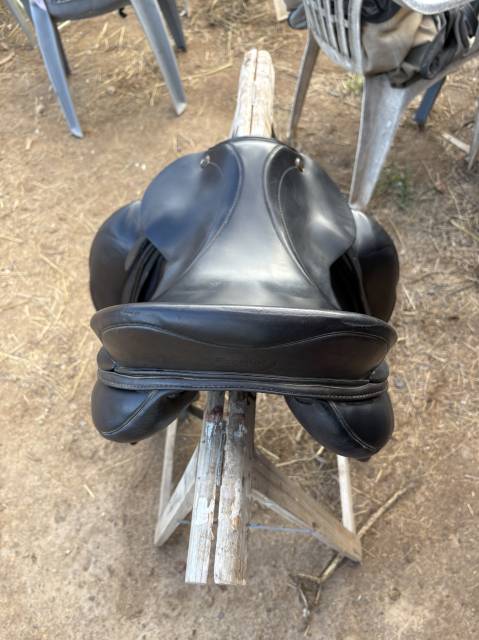 Prestige Italia X-DOGE, taille 18