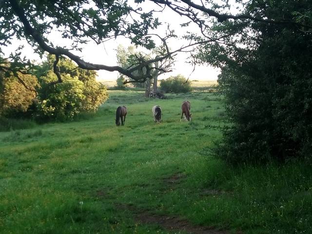 Pension pre boissy l'aillerie