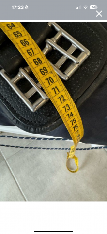 Sangle de dressage antares 