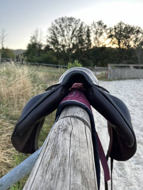 Selle Forestier Boeckelo 