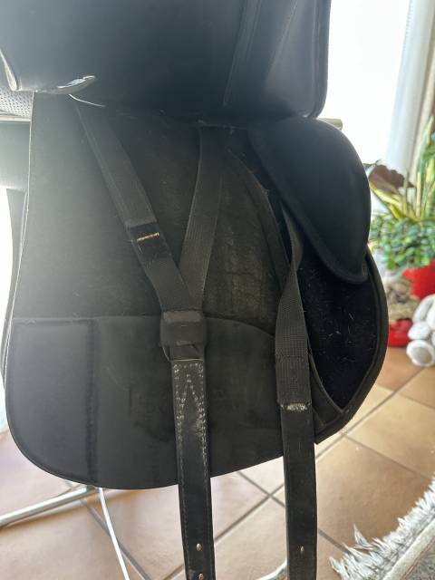Selle dressage wintec 