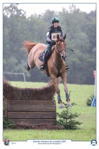 Hongre 6 ans cce/cso