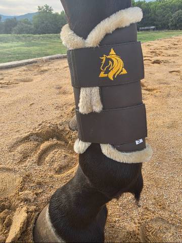 Protecteurs de tendons Trotando Juntos – Confort, sécur