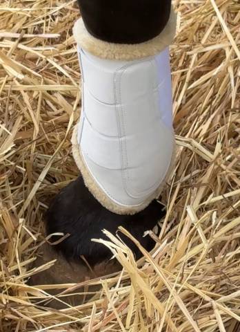 Protecteurs de tendons Trotando Juntos – Confort, sécur