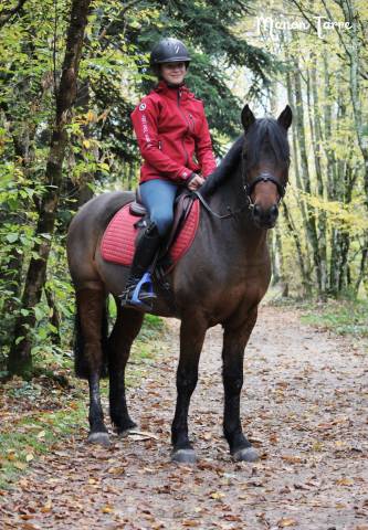 Sangle De Ventre équestre Professional’s Choice – Modèle CJG, Néoprène