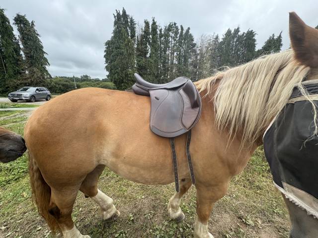 Selle cavaletti monoquartier dressage 