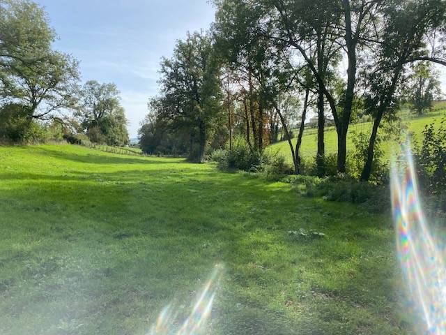 Pension pré à 1/2 heure de lyon