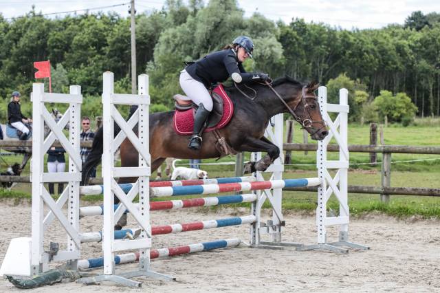 Jument 1m45 de 11 ans