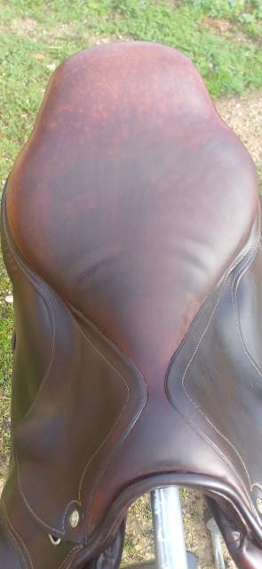 Selle mixte 18.5 pouces