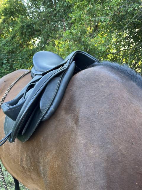 Selle cavalhorse 17pouces arcade interchangeables 