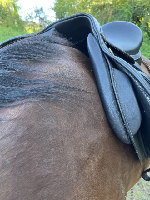 Selle cavalhorse 17pouces arcade interchangeables 