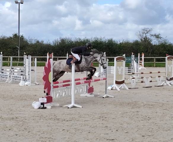 Ponette plein papier new forest 5ans 