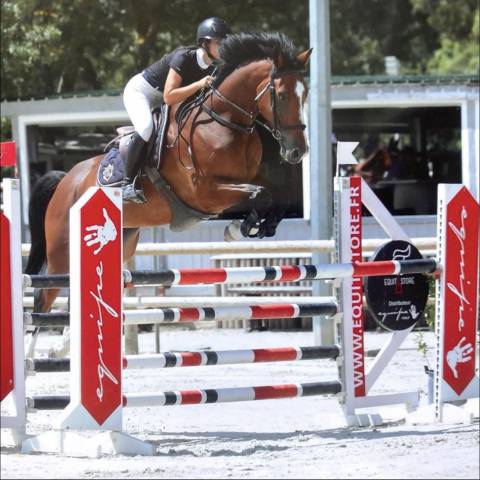 à vendre gaoyao du nevez 9 ans