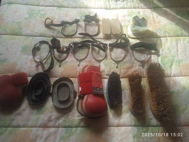 selle Forestier Mixte 