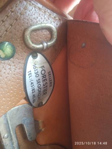 selle Forestier Mixte 